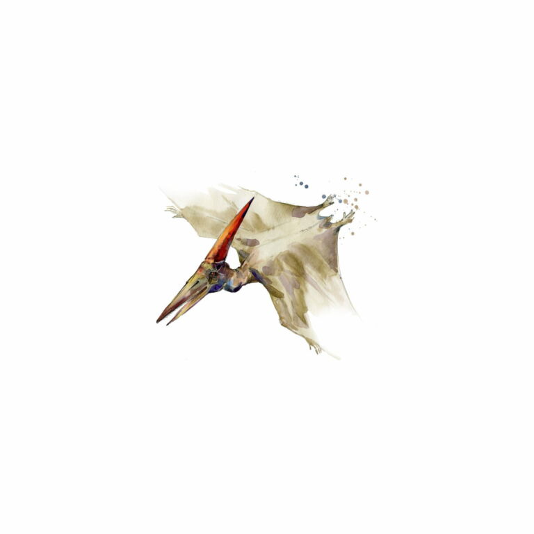 Pterodáctilo