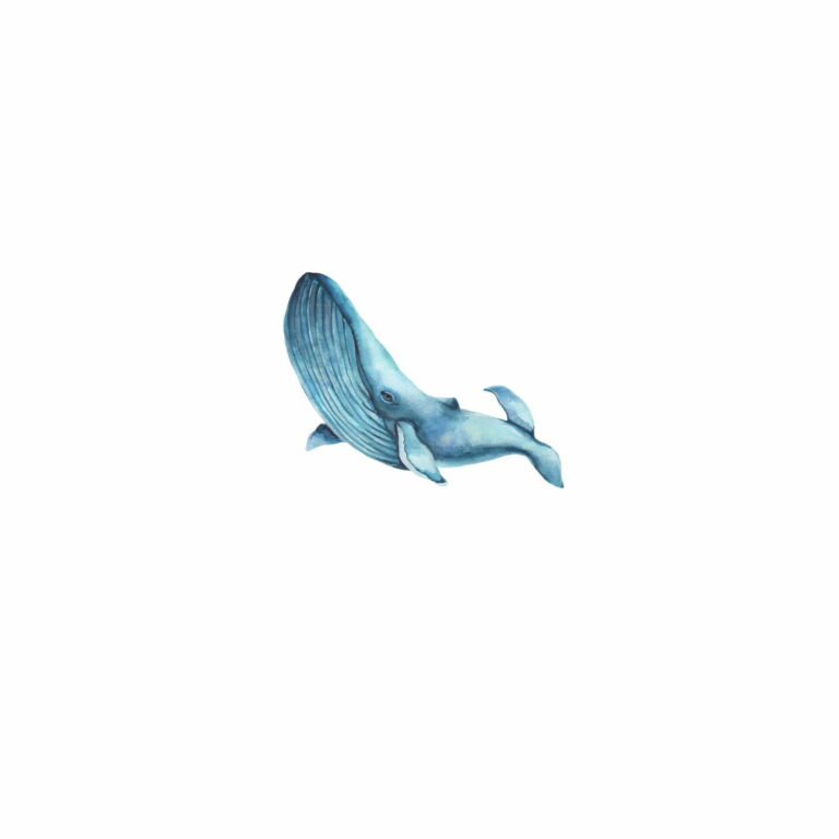 Ballena azul