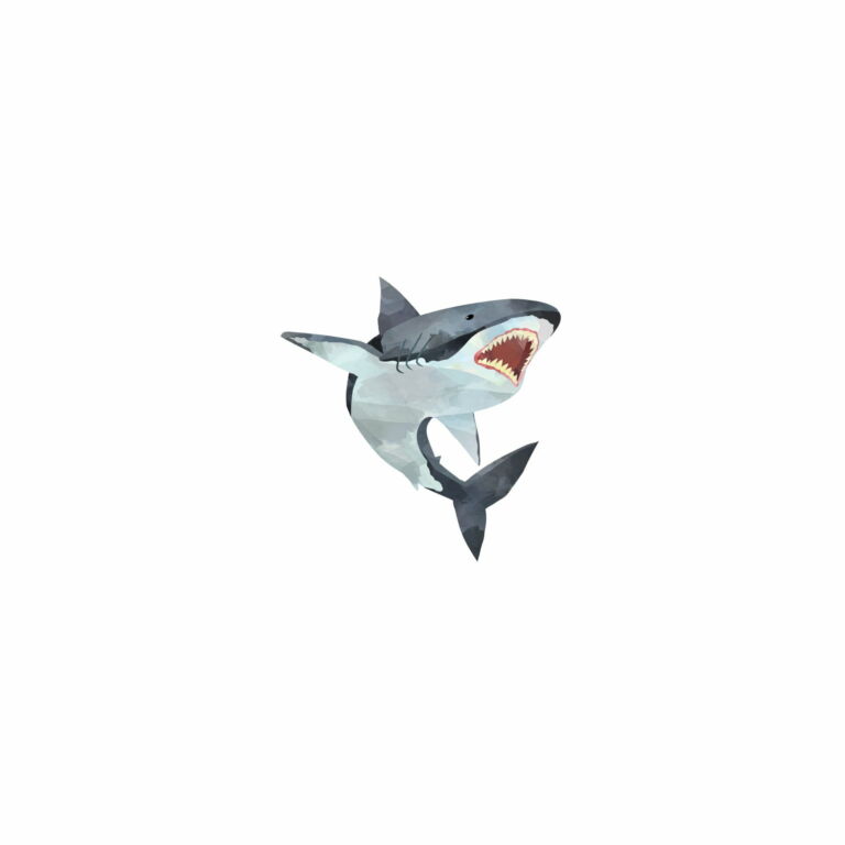 Tiburón