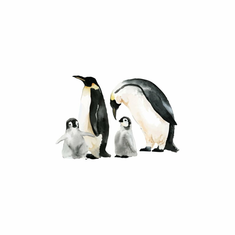 Pingüinos
