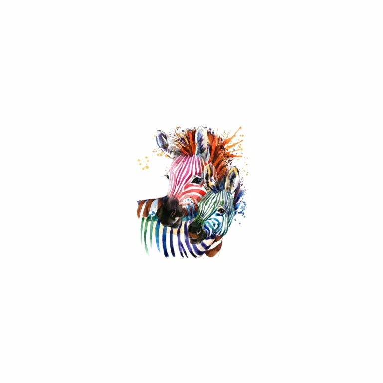 Zebra colores