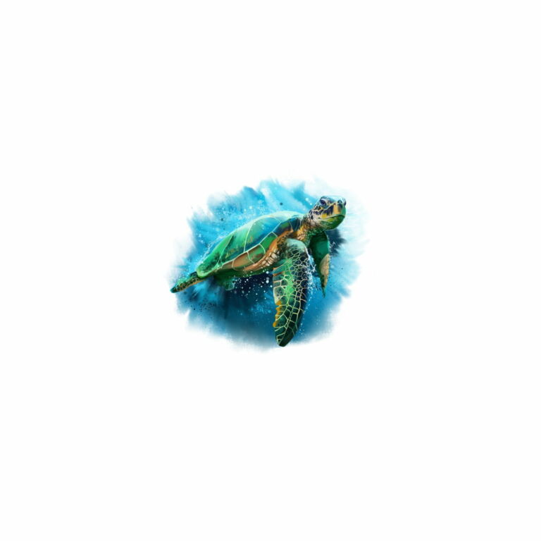 Tortuga