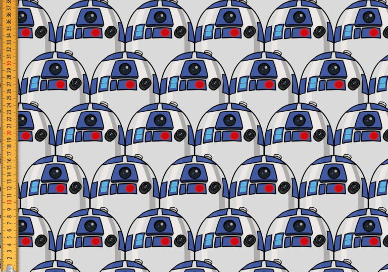 PR_SW R2D2