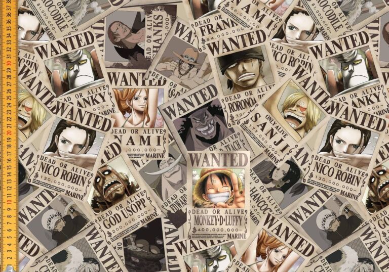 PR_One Piece Se Busca